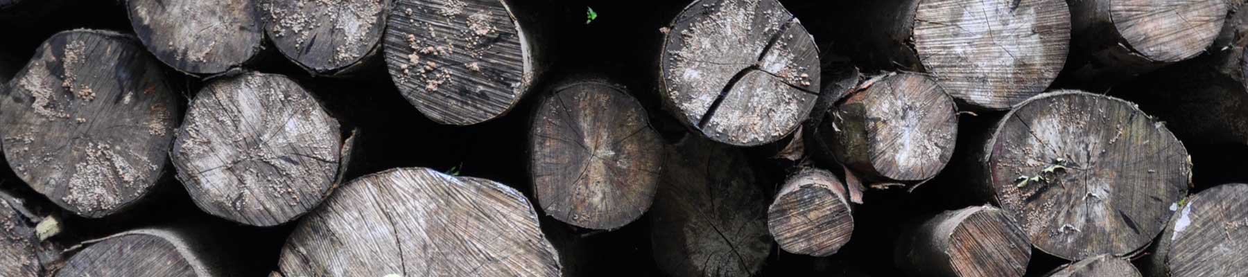 Nordisk Træbeskyttelse forhandlere